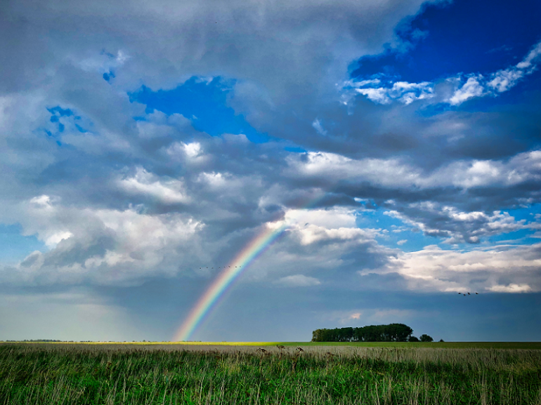 rainbow