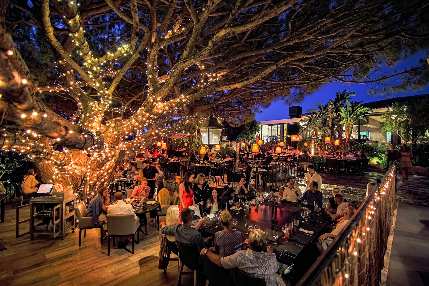 restaurant portugais