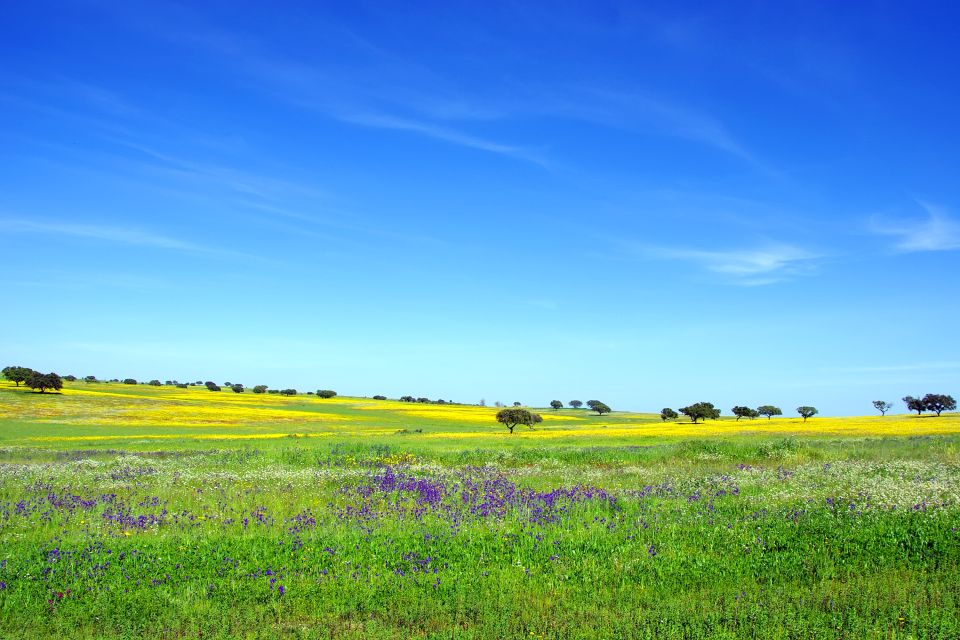 culture alentejo