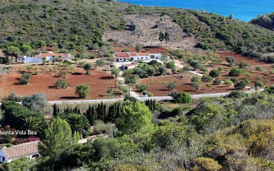 Le Portugal, un refuge ?