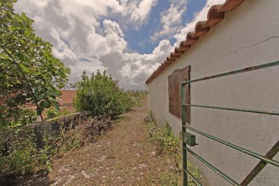 vue sur le jardin avec ciel partiellement dégagé