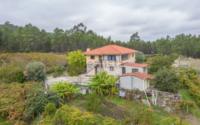 Une ferme à vendre au Nord Portugal