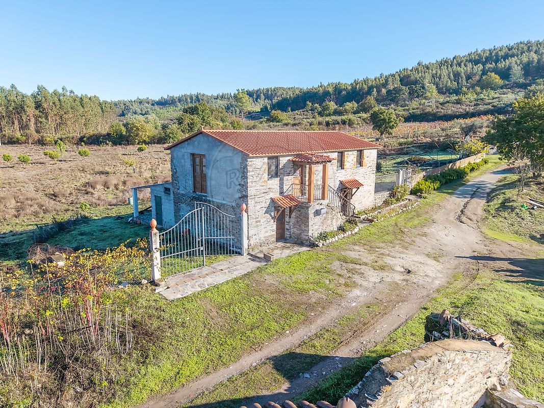 f02cfe1a-6869-4c6e-8762-b29a117a390a