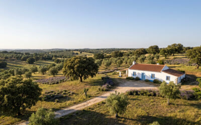 Beiras, Alentejo, Trás-os-Montes : le Portugal que les touristes ne voient pas, et qui vaut deux fois mieux que l’Algarve