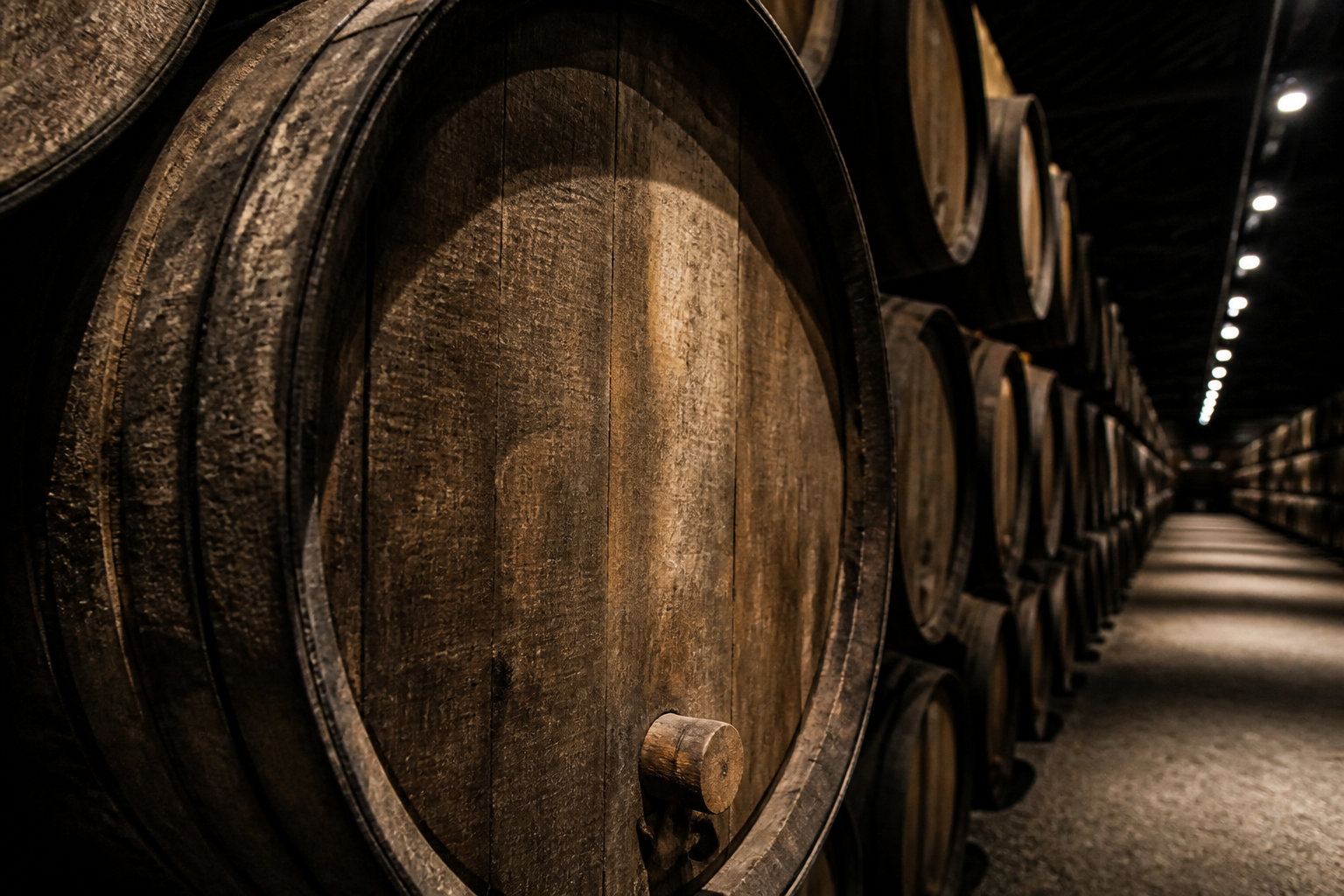 Vila Nova de Gaia : l'alternative stratégique face au Douro
